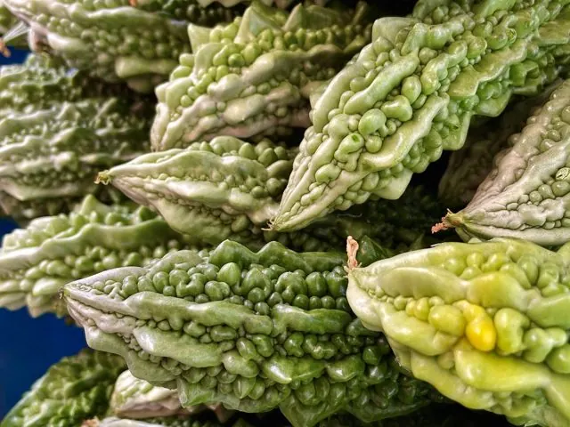 Peria (Bitter Gourd)