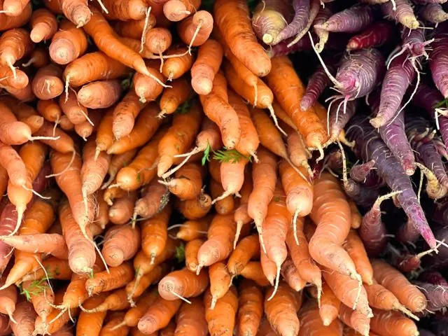 Lobak Merah (Carrot)