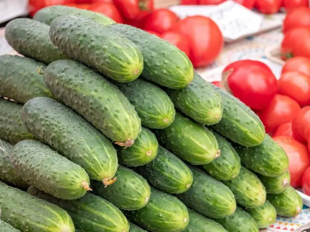 Timun (Cucumber)