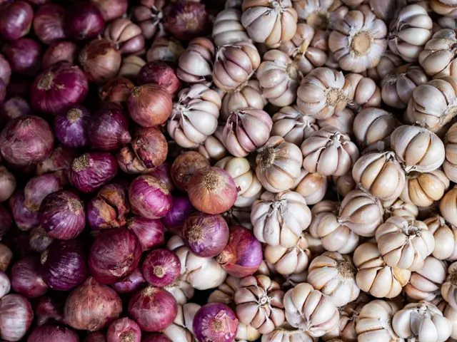 Bawang Putih (Garlic)