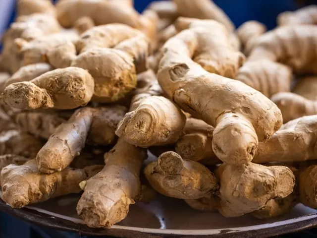 Halia (Ginger)