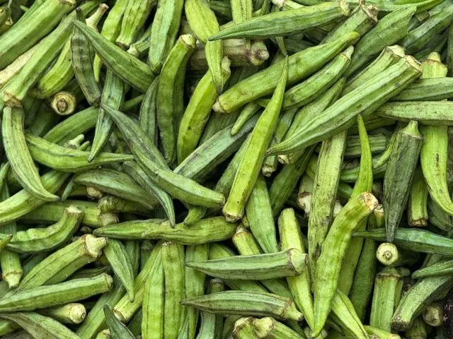 Bendi (Okra)