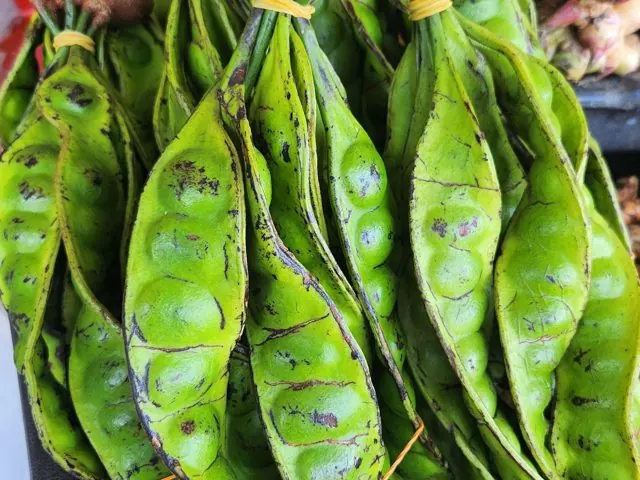 Petai