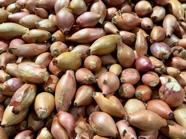 Bawang Merah (Shallots)