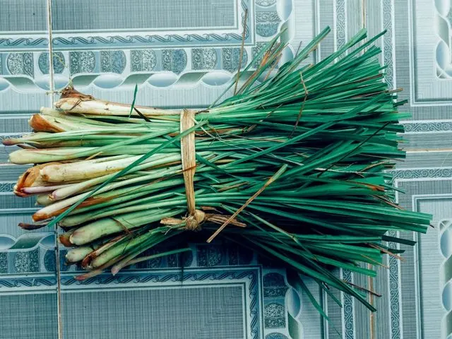 Daun Bawang (Spring Onion)