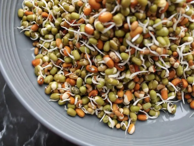 Taugeh (Bean Sprouts)