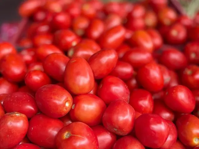 Tomato